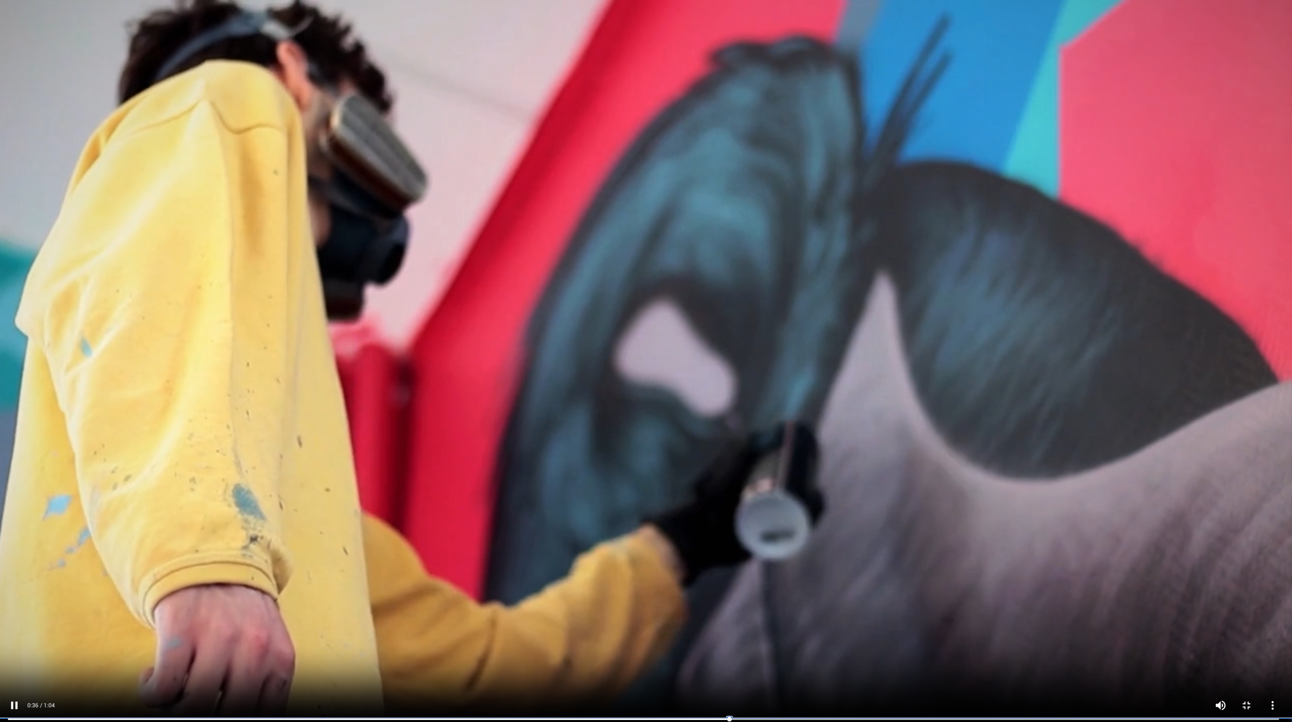 video preview