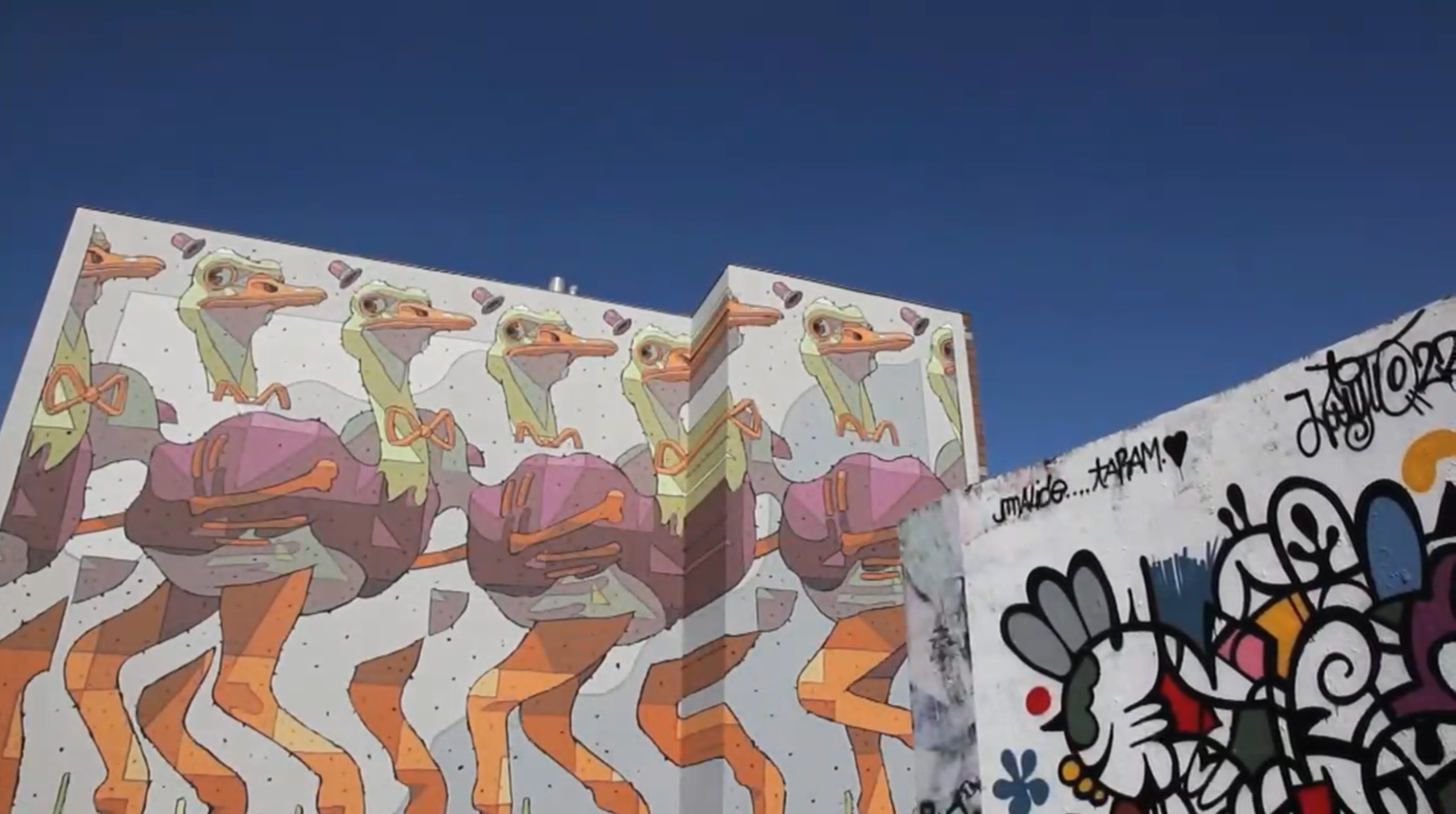 video preview